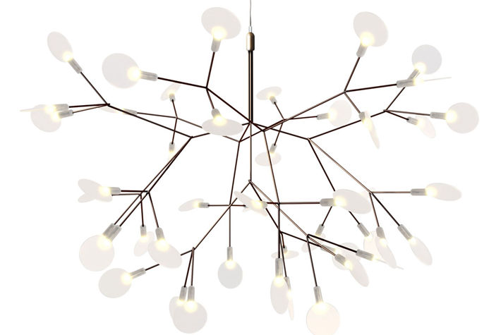 Heracleum II Small